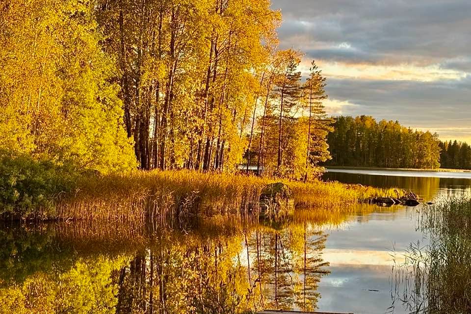 La Roseé Uusi ranskalainen ihonhoitosarja apteekissa